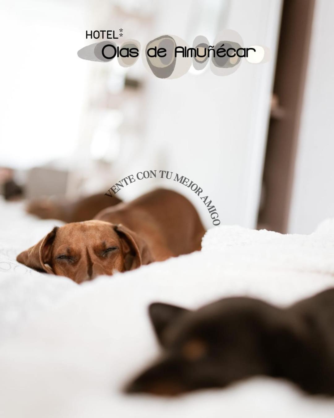 Hotel Olas De Almunecar Ngoại thất bức ảnh